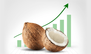 coconut export from India